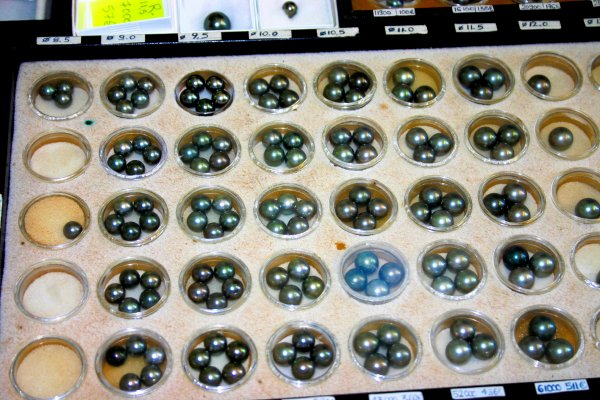 Varying sizes and grades of black pearls